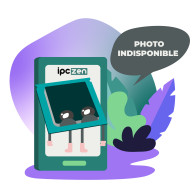 Processeur Intel C2D E7300