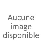 Serveurs IA
